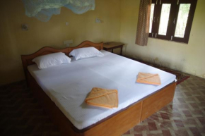 Отель Jungle Base Camp  Bardiya